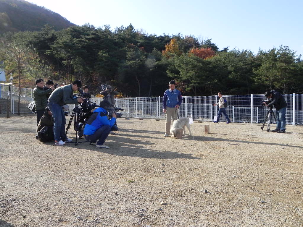 982921947_wCtLQdra_DSCN7559.JPG