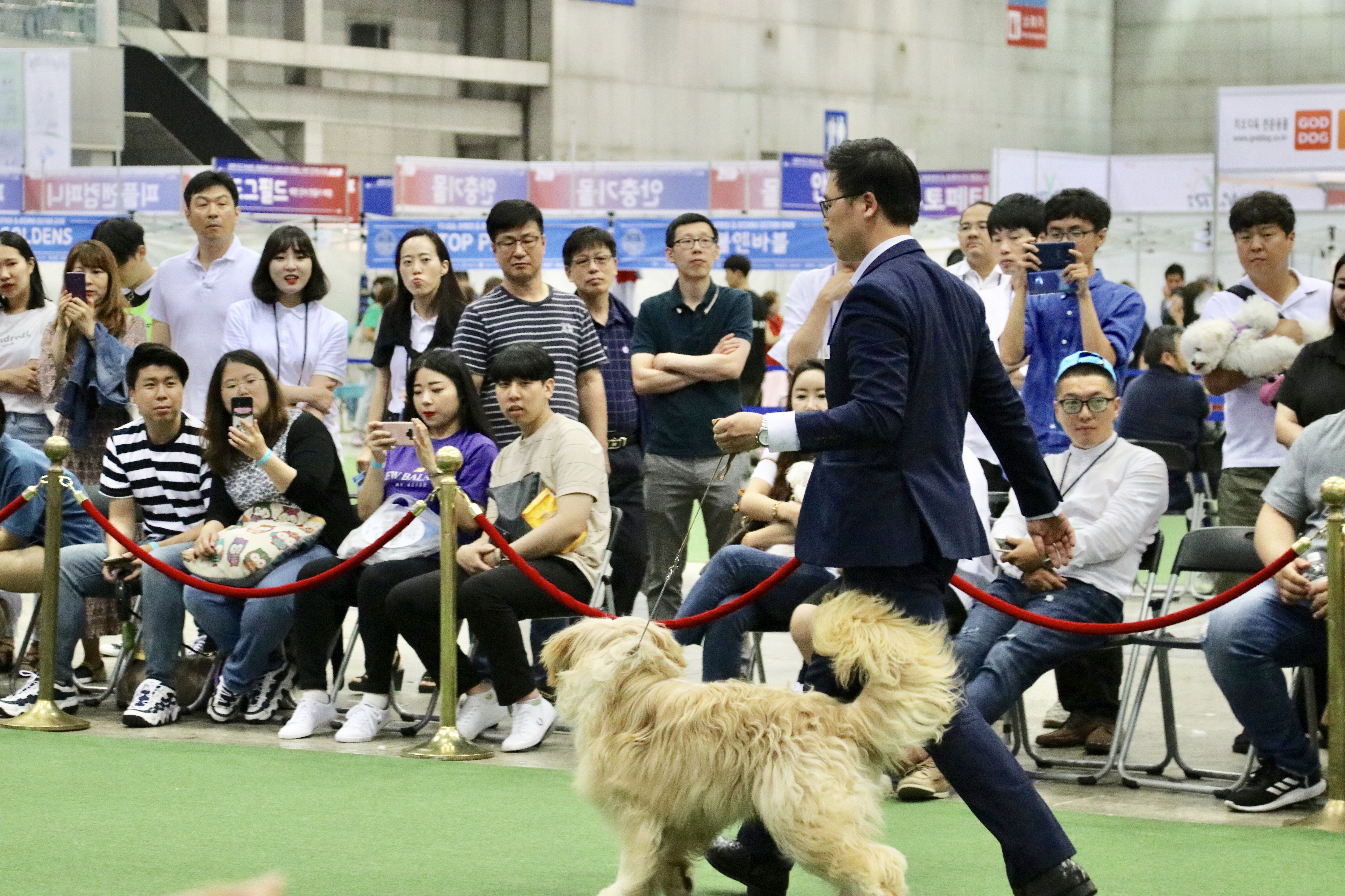 982921948_5eZ3wPsL_KakaoTalk_20190615_231801932_11.jpg