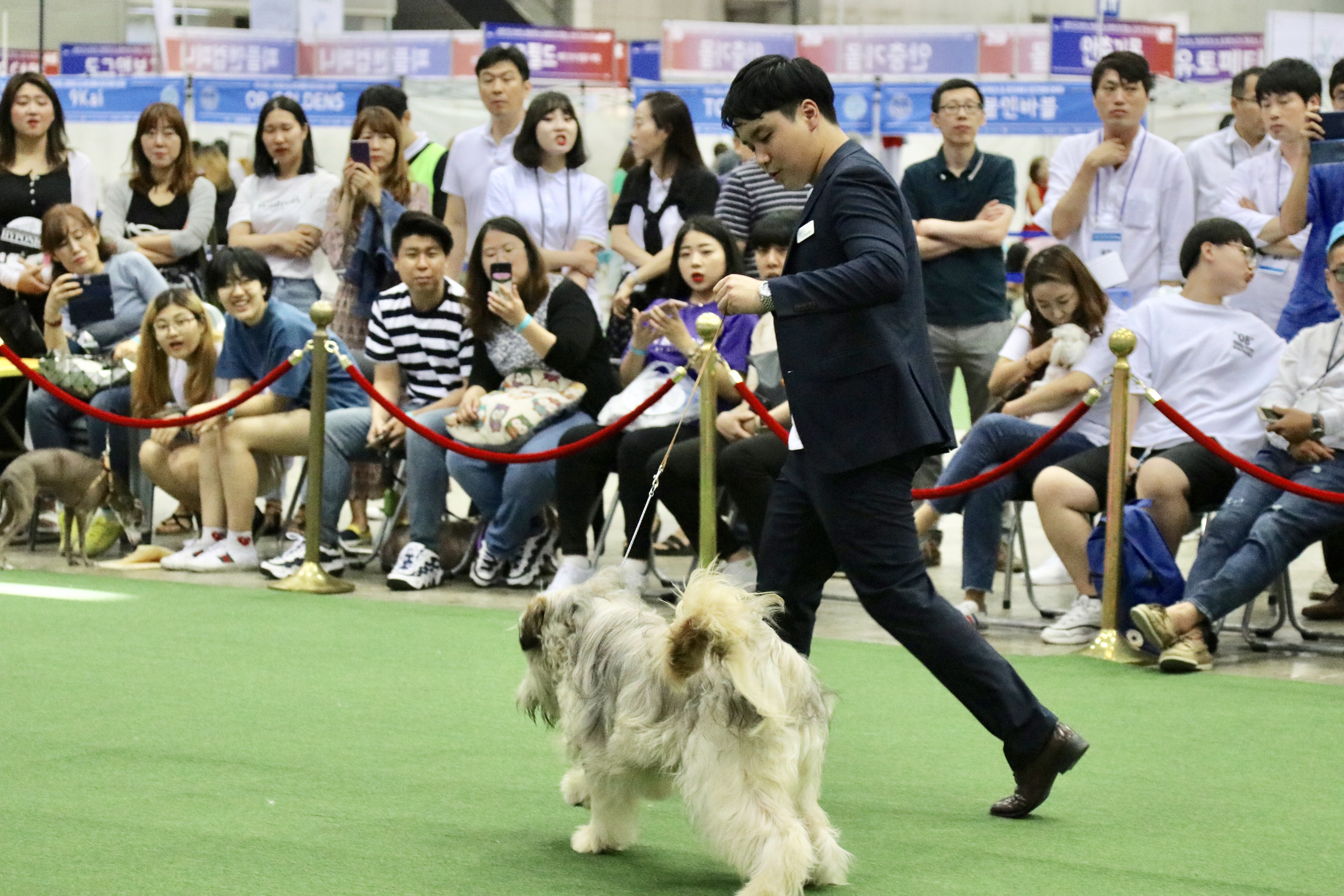 982921948_hjpJm129_KakaoTalk_20190615_231801932_12.jpg