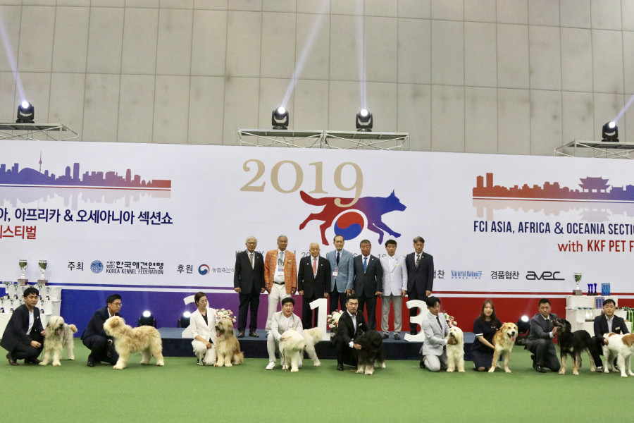 982921948_KQZBWh5o_KakaoTalk_20190615_231559053_25.jpg