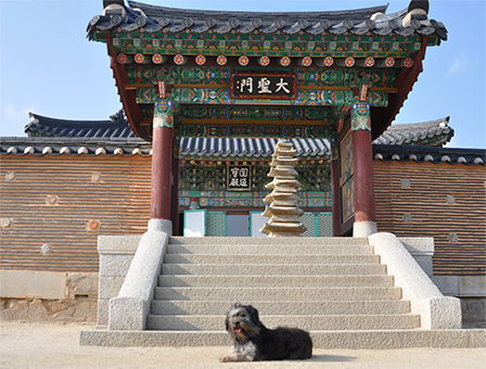 양양 낙산사