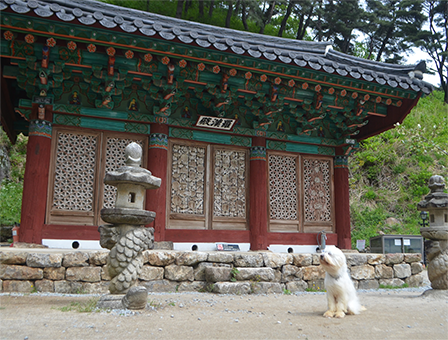 영주 성혈사