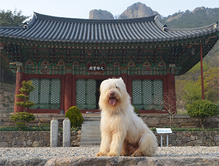 부안 개암사