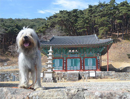 산청 율곡사