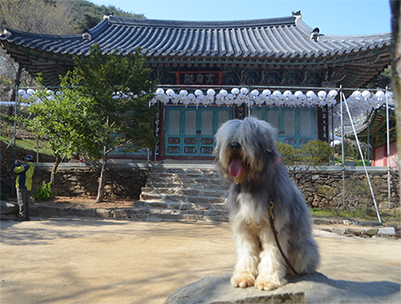 강화 전등사