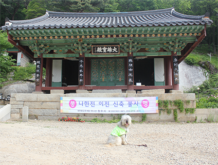 강화 정수사