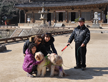 구례 화엄사